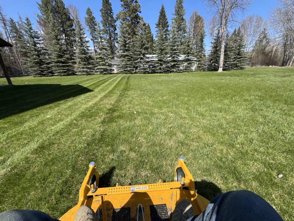 Clean yard borders and seasonal outdoor upkeep for Landscaping near me in Whitefish, MT at a local home