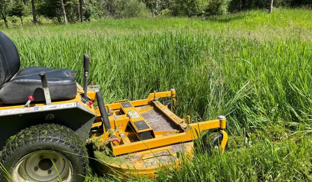 Skilled lawn professional inspecting turf and trimming edges during routine maintenance on a Kalispell property