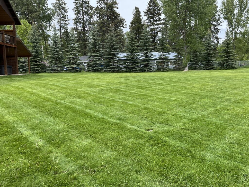 Professional Tree Trimming in Bigfork, MT around a well-kept residential property with trimmed branches and cleaner curb appeal