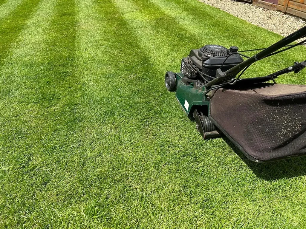 Experienced lawn care worker using professional mower equipment on a residential property