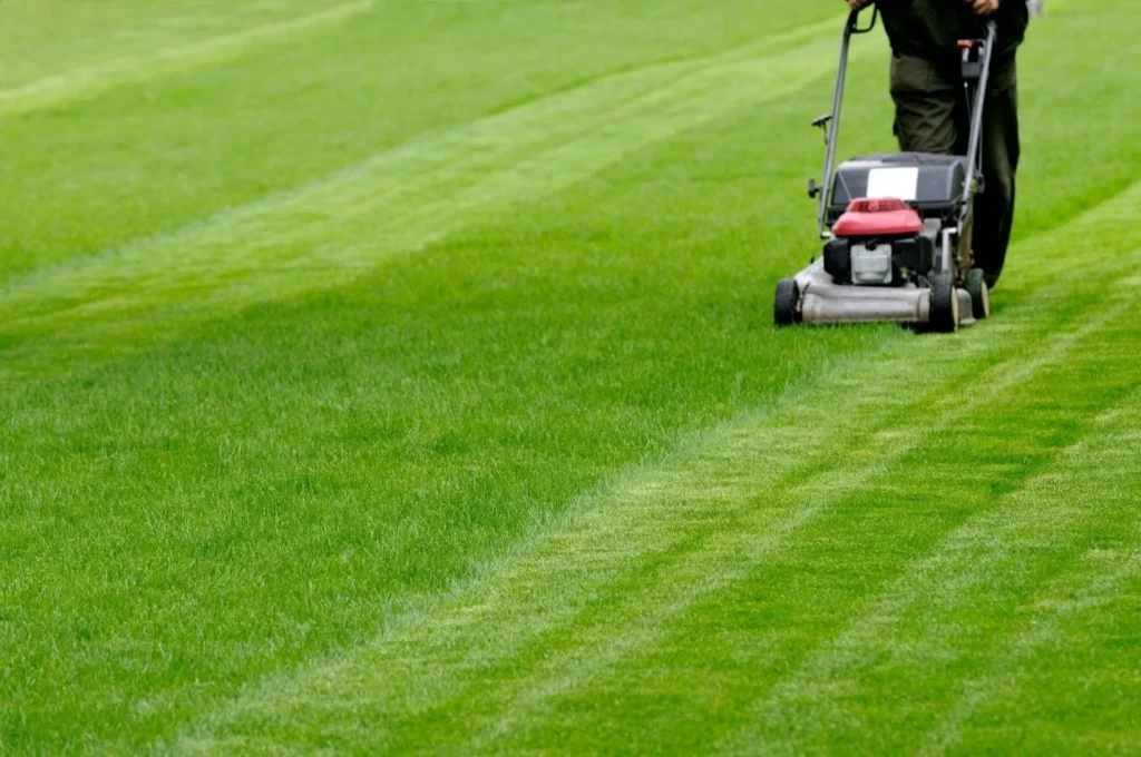 Experienced lawn care professional using commercial mower equipment on a well-maintained yard