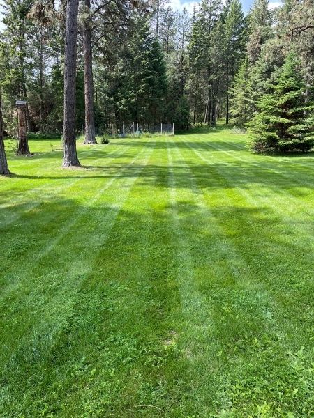 Skilled crew inspecting lawn health and adjusting maintenance on a suburban property
