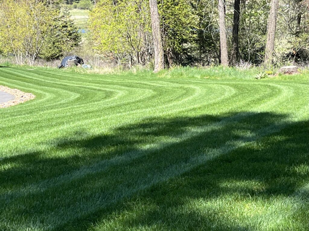 Freshly cut grass and clean lawn edges showing Lawn Mowing in Whitefish, MT at a well-kept residential property