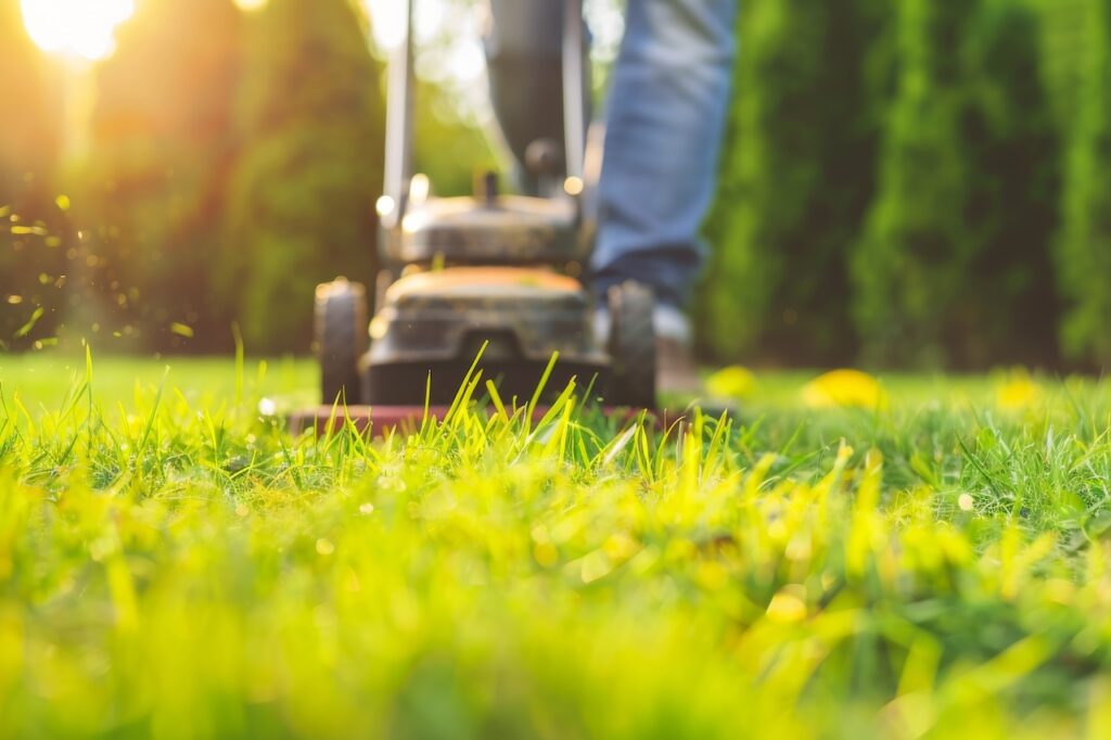 Skilled lawn mowing professional inspecting grass height before trimming a residential property